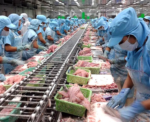 Kết quả hình ảnh cho sản phẩm Hải sản chế biến