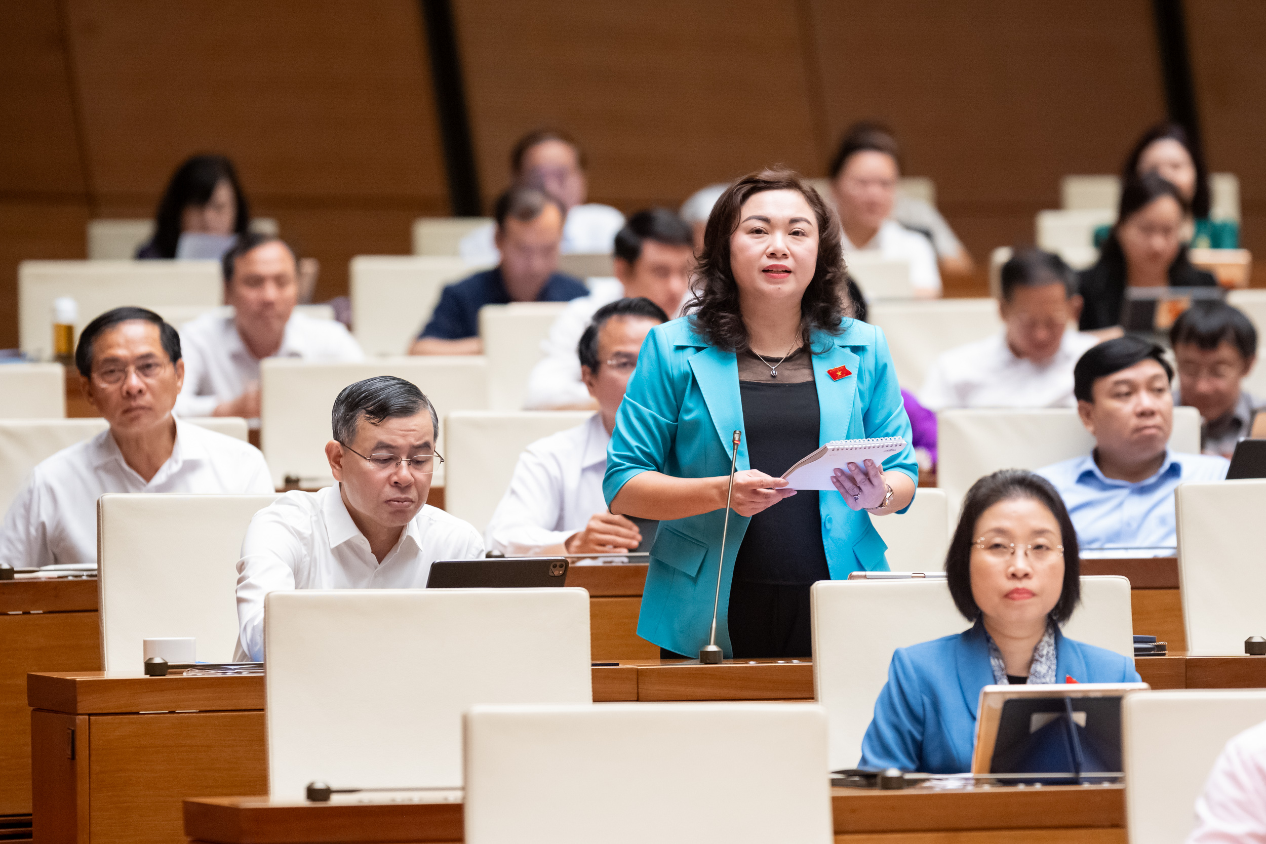 Đại biểu Đặng Bích Ngọc (Hòa Bình)