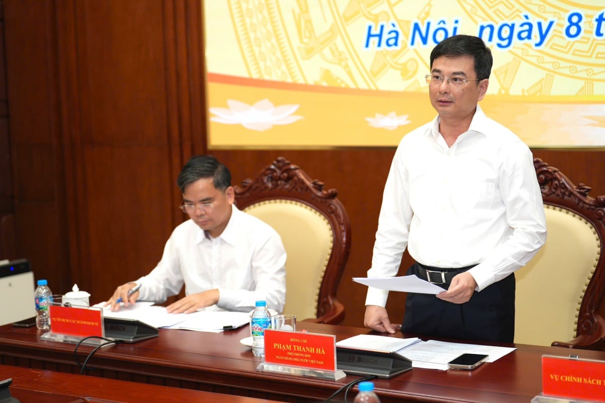 Phó Thống đốc Phạm Thanh Hà chủ trì họp báo 