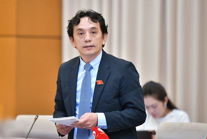 Đại biểu Trần Việt Anh