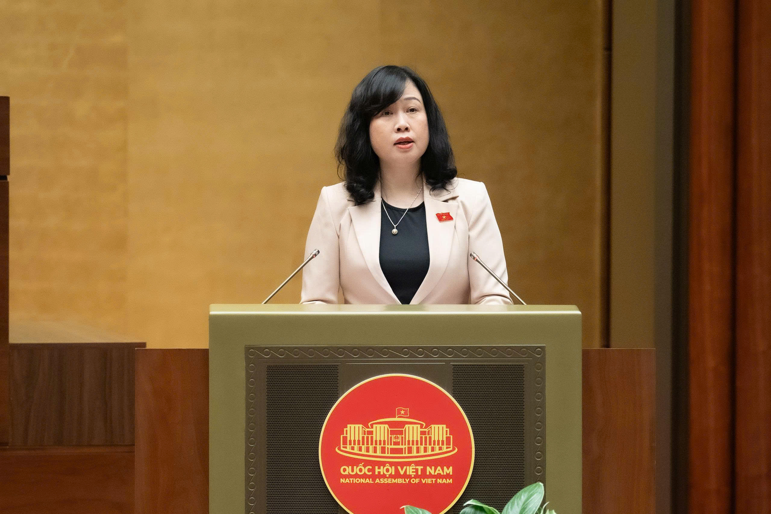 Bộ trưởng Bộ y tế Đào Hồng Lan trình bày tóm tắt tờ Trình