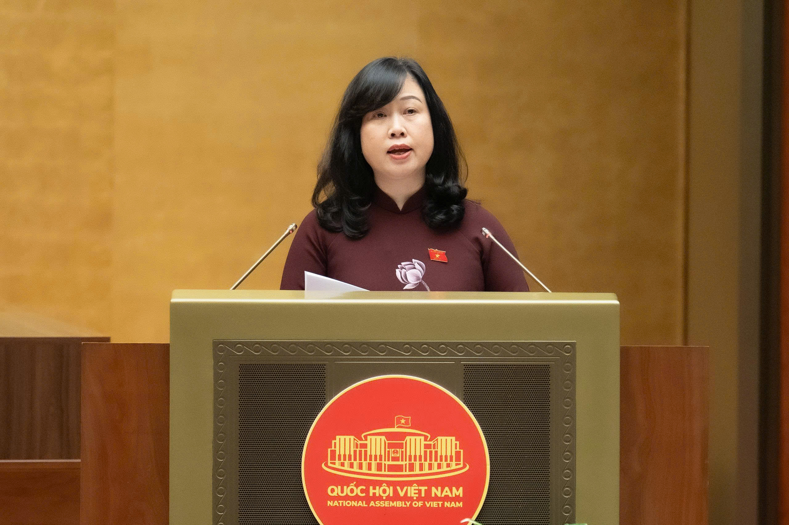 Bộ trưởng Bộ y tế Đào Hồng Lan