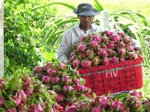Việt Nam-Nhật Bản thúc đẩy hợp tác nông nghiệp