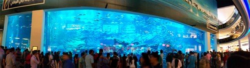 Một trong những bể cá lớn nhất thế giới nằm trong Dubai Mall