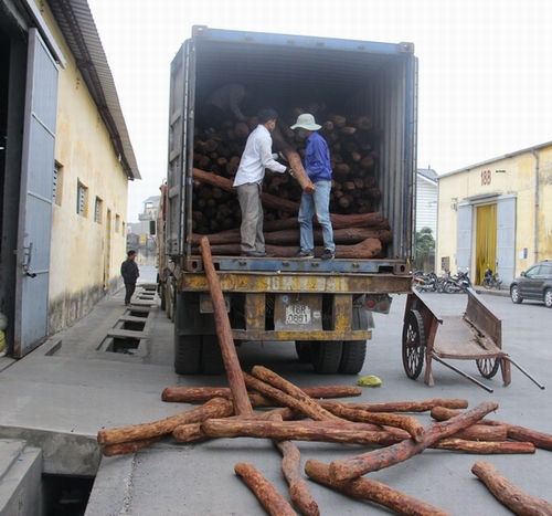 Hải Phòng: Liên tiếp bắt giữ nhiều container gỗ Giáng hương đỏ Ấn Độ quý hiếm