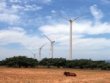 Dự án điện gió: Sôi động đăng ký, chấp chới triển khai