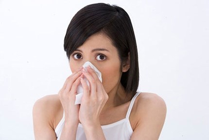Những dược liệu thiên nhiên trị bệnh cảm cúm