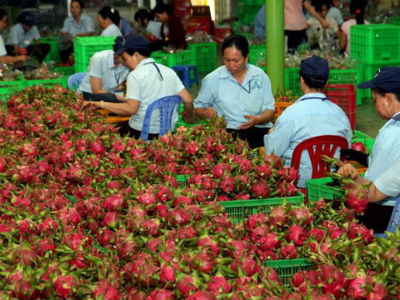 Đưa nông sản Việt vào hệ thống bán lẻ quốc tế