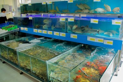 MIGroup ra mắt chợ kết hợp nhà hàng hải sản đầu tiên ở Hà Nội