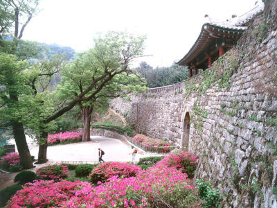 Nhiều lựa chọn tour du lịch Hàn Quốc dịp tết