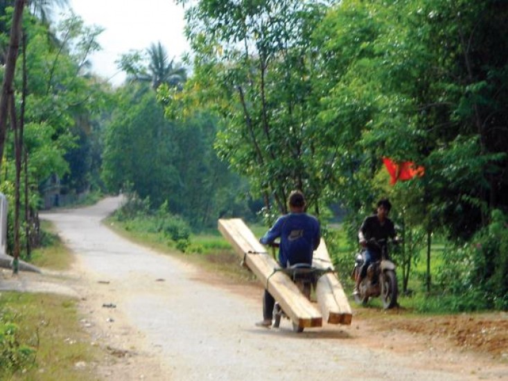 Bình Định: Lâm tặc “nhởn nhơ” phá rừng
