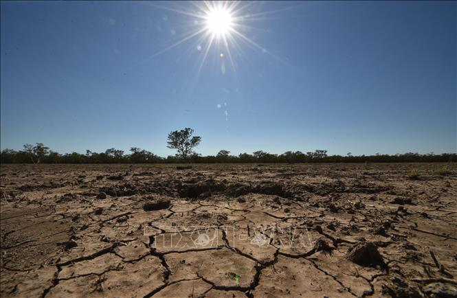 Cảnh khô hạn trên cánh đồng tại thị trấn Walgett, Australia. Ảnh: AFP/TTXVN