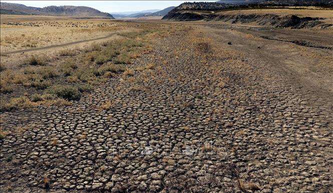 Đáy sông khô nứt nẻ do hạn hán kéo dài tại Villarta de los Montes, Tây Ban Nha ngày 16/8/2022. Ảnh: AFP/TTXVN