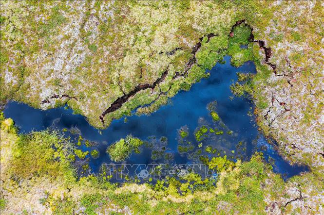 ũng nước đọng tại đầm lầy Storflaket ở Norrbotten, Thụy Điển. Storflaket là khu vực được ưu tiên nghiên cứu của các nhà khoa học châu Âu về tác động của hiện tượng nóng lên toàn cầu đối với tầng đất đóng băng vĩnh cửu. Ảnh tư liệu: AFP/TTXVN