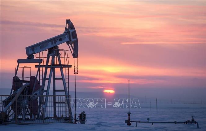Cơ sở khai thác dầu tại Almetyevsk, Nga. Ảnh minh họa: AFP/TTXVN