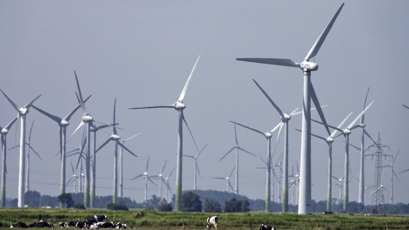 Các tua-bin gió được xây dựng tại Đức. Ảnh: EPA-EFE