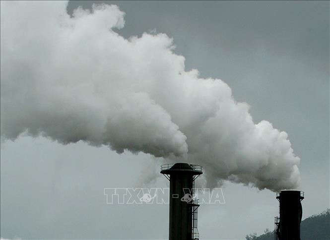 Khởi động sáng kiến toàn cầu về minh bạch tín chỉ carbon. Ảnh minh họa: AFP/TTXVN