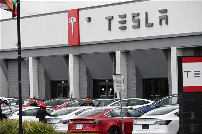  Chú thích ảnh Phòng trưng bày của Tesla ở California, Mỹ. Ảnh minh họa: AFP/TTXVN