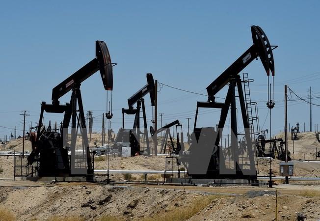 Công ty dầu mỏ Mỹ Occidental nhận định, thị trường dầu có thể thiếu hụt nguồn cung vào cuối năm 2025. Ảnh minh họa: TTXVN
