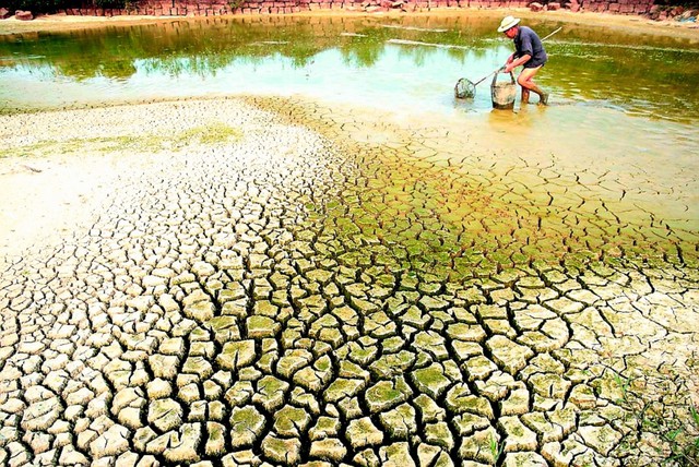 Ứng phó với nguy cơ thiếu nước, xâm nhập mặn tại Đồng bằng sông Cửu Long