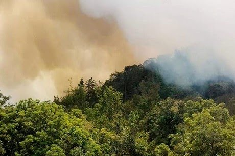 Cháy rừng đặc dụng ở Tây Côn Lĩnh (huyện Vị Xuyên, Hà Giang).