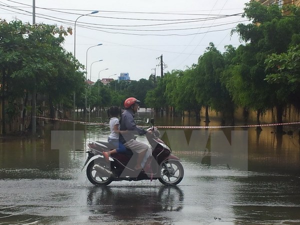 Ảnh minh họa: Trọng Lịch/TTXVN