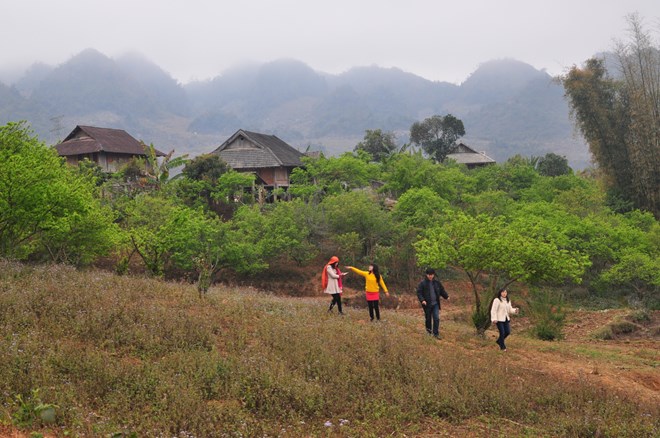 Ảnh minh họa. Nguồn: Vietnam+