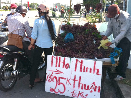  Mặc dù bán nho Trung Quốc nhưng nhiều tiểu thương vẫn gắn mác Ninh Thuận