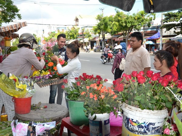 Ảnh minh họa: Đinh Văn Nhiều/TTXVN