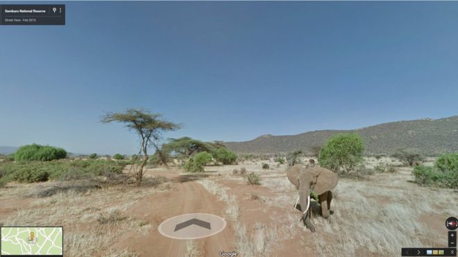 Google Maps có thêm tính năng theo dõi tác động của việc biến đổi khí hậu