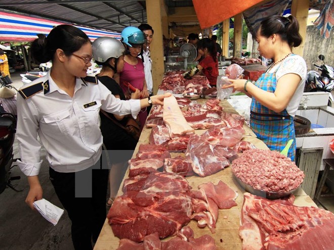 Nhân viên thú y kiểm tra hộ kinh doanh thịt lợn tại chợ. Ảnh: Vũ Sinh/TTXVN