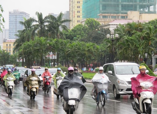 Ảnh minh họa. Nguồn: Internet