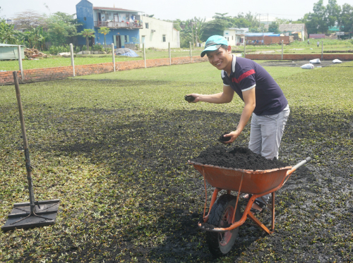  Võ Thành Ngân chăm sóc vườn cỏ tại Hóc Môn. Ảnh: Phương Phúc