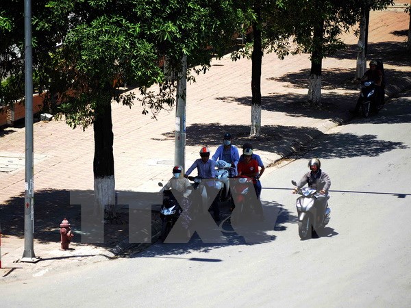  Người dân tại Hà Nội tranh thủ nghỉ ngơi dưới những gốc cây, gầm cầu vượt để tránh nắng nóng. Ảnh: Quang Quyết/TTXVN