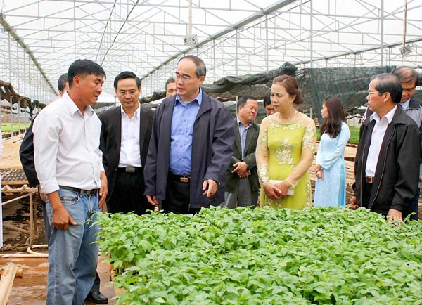 Đồng chí Nguyễn Thiện Nhân thăm mô hình trồng rau công nghệ cao tại Công ty TNHH Trang trại Nông sản Phong Thúy (huyện Đức Trọng). Ảnh: Đoàn Kiên