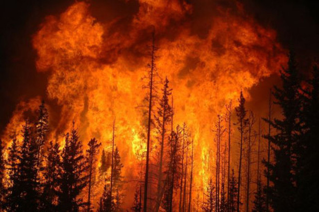 Thảm họa cháy rừng ở Canada. Ảnh: Getty Images
