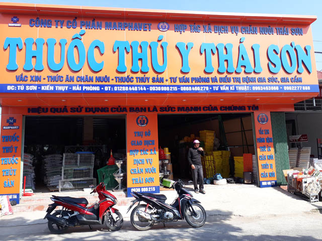 Khu văn phòng kiêm cửa hàng vật tư của HTX dịch vụ - chăn nuôi Thái Sơn (Tú Sơn, Kiến Thụy, Hải Phòng)