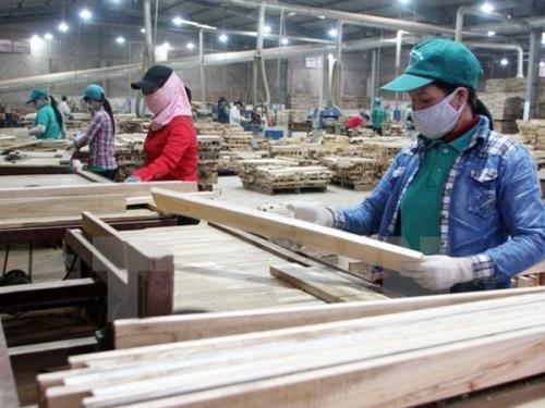 Cần hỗ trợ ngành công nghiệp gỗ Việt Nam mở rộng thị trường tại EU. Ảnh: TTXVN