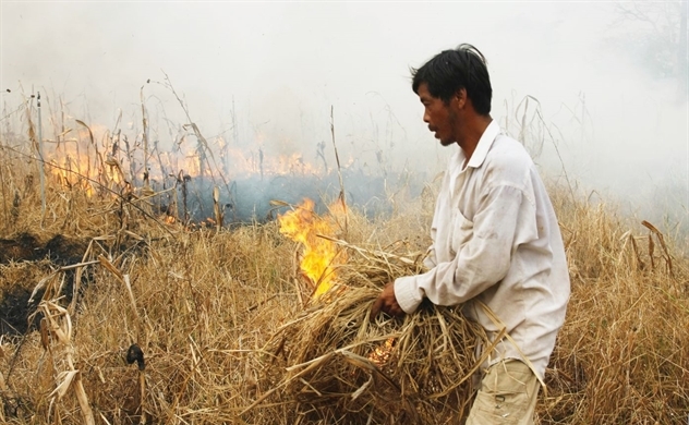 Người dân đốt rơm ở Tiền Giang. Ảnh: Thiên Ân
