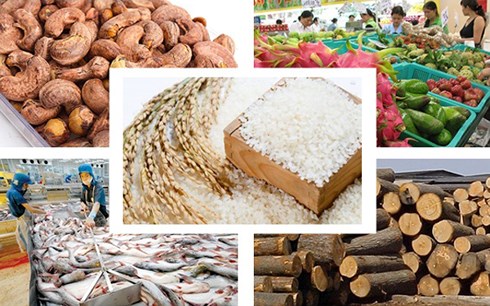 Nửa đầu năm 2018, nhiều mặt hàng có giá trị kim ngạch xuất khẩu tăng trưởng cao, gồm: gạo, rau quả, hạt điều, gỗ, thủy sản... 