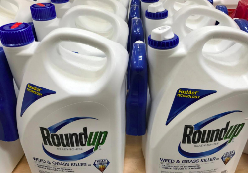  Thuốc diệt cỏ Roundup bị cho là gây ung thư. Ảnh: Reuters