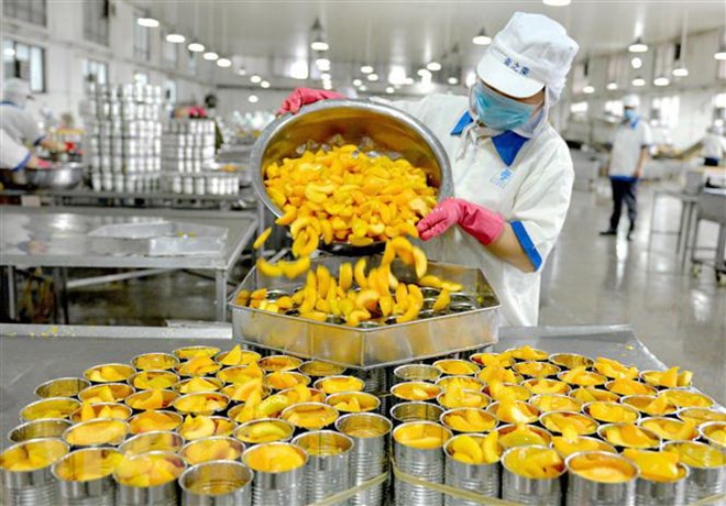 Công nhân chế biến hoa quả đóng hộp xuất khẩu tại nhà máy ở tỉnh Hà Nam, Trung Quốc ngày 8/7/2018. (Ảnh: AFP/TTXVN)