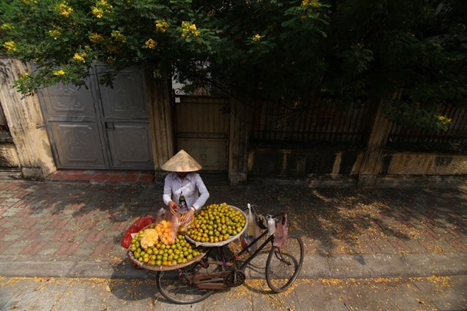 Ảnh minh họa. (Nguồn: BTC Cuộc thi Canon PhotoMarathon)