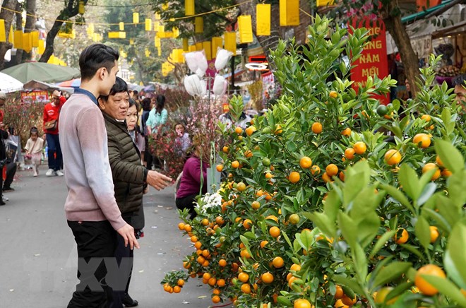 Người dân chọn mua những mặt hàng cho Tết Nguyên Đán tại chợ hoa Hàng Lược, Hà Nội. (Ảnh: Khánh Hòa/TTXVN)