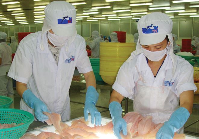 Việc DOC áp thuế cao gây khó khăn cho các doanh nghiệp Việt Nam xuất khẩu cá tra vào thị trường Mỹ