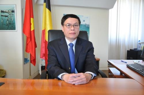 Đại sứ Việt Nam tại Vương Quốc Bỉ, Vũ Anh Quang. Ảnh: Kim Chung/TTXVN