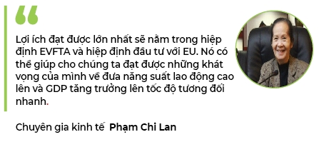 Góc nhìn của chuyên gia kinh tế Phạm Chi Lan về tác động của EVFTA
