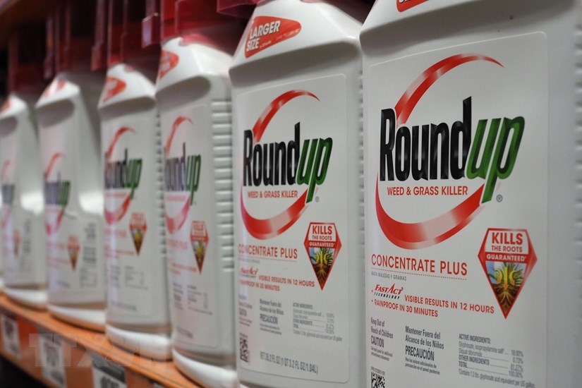 Thuốc diệt cỏ Roundup của Monsanto được bày bán tại cửa hàng ở Glendale, California, Mỹ, ngày 19/6/2018. (Ảnh: AFP/ TTXVN)