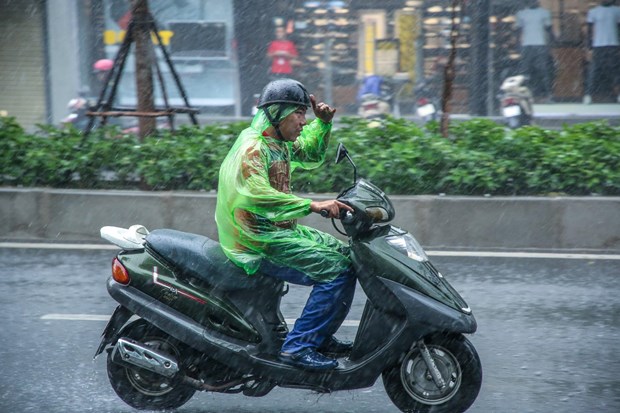 Mưa lớn tại thành phố Hà Nội. (Ảnh: Minh Sơn/Vietnam+)