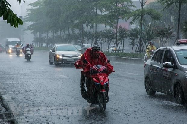 Ảnh minh họa. (Ảnh: Lê Minh Sơn/Vietnam+)